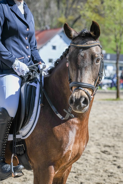 中展现优势 中展现优势