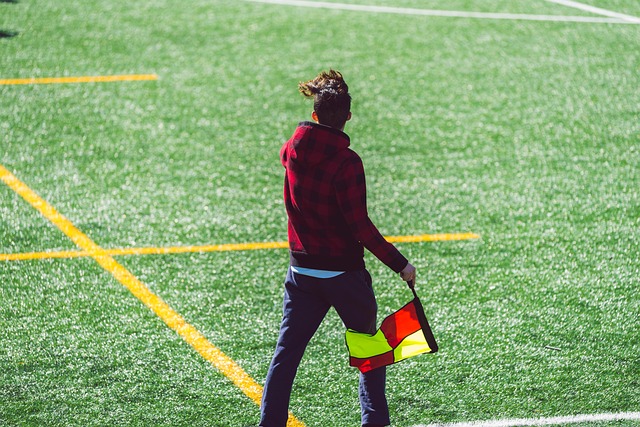 重要因素 重要因素