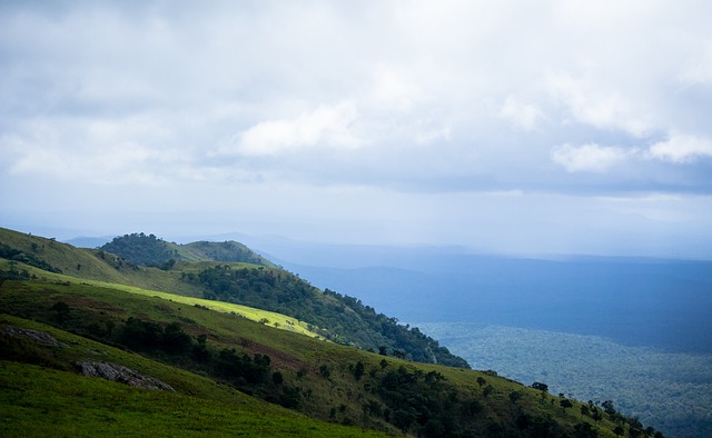 中未能展现 中未能展现