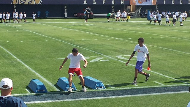 育培训体系 育培训体系